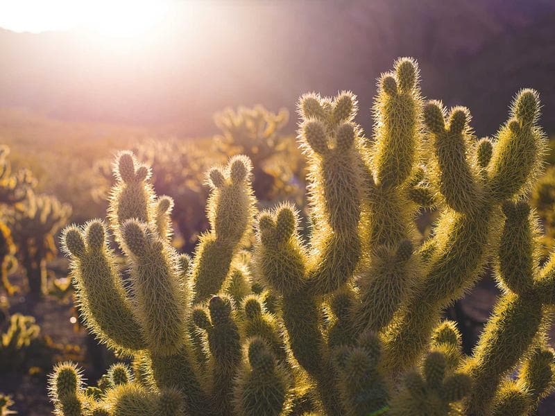 Aksu River View Apt. 5