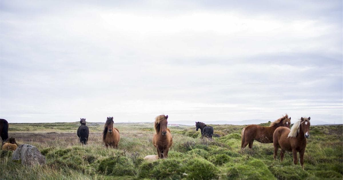 10 nejčastějších chyb při koupi bytu u moře