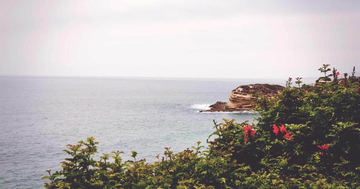 Jak vydělat koupí bytu u moře v Egyptě