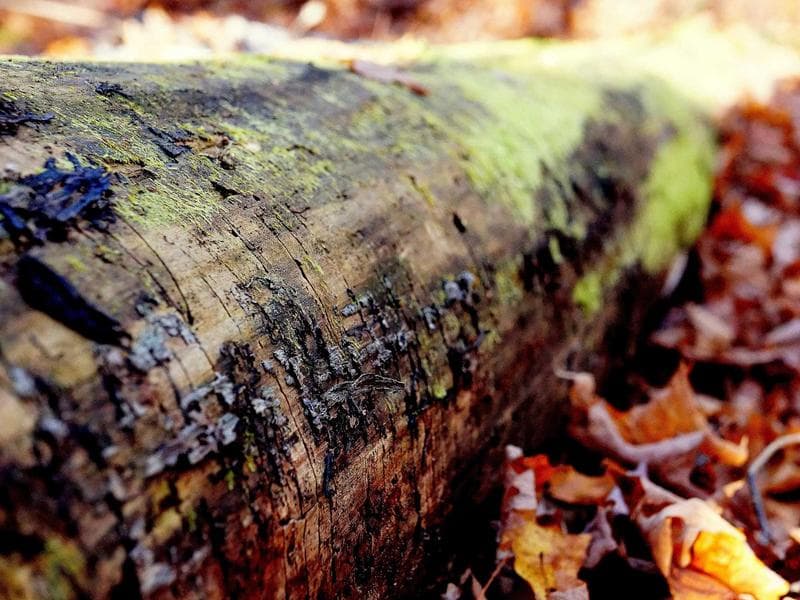 Cleopatra Beach Resort Apt. 4