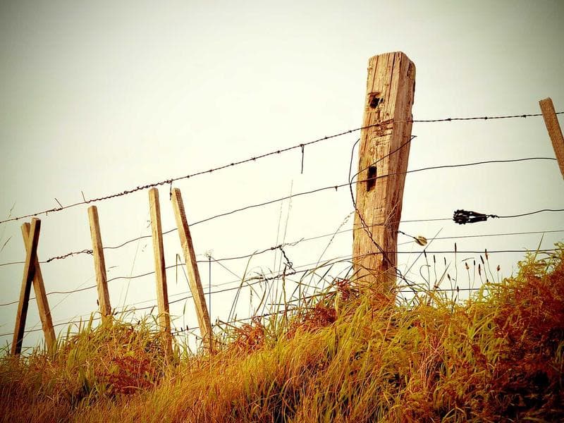 Gümbet Bay Suites Apt. 3