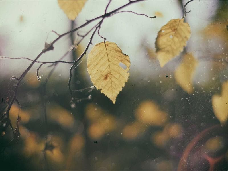 Kaleiçi Heritage Apt. 3