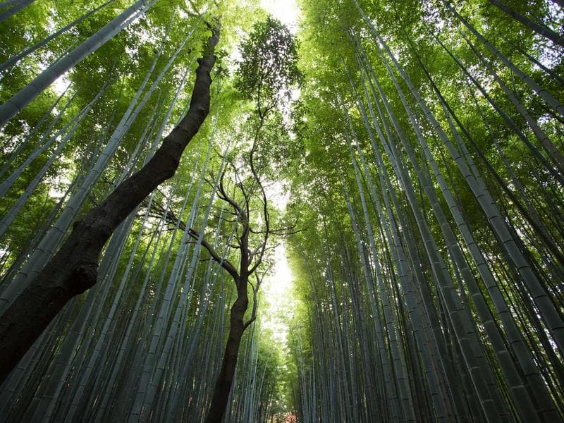 Konyaaltı Residence Apt. 2