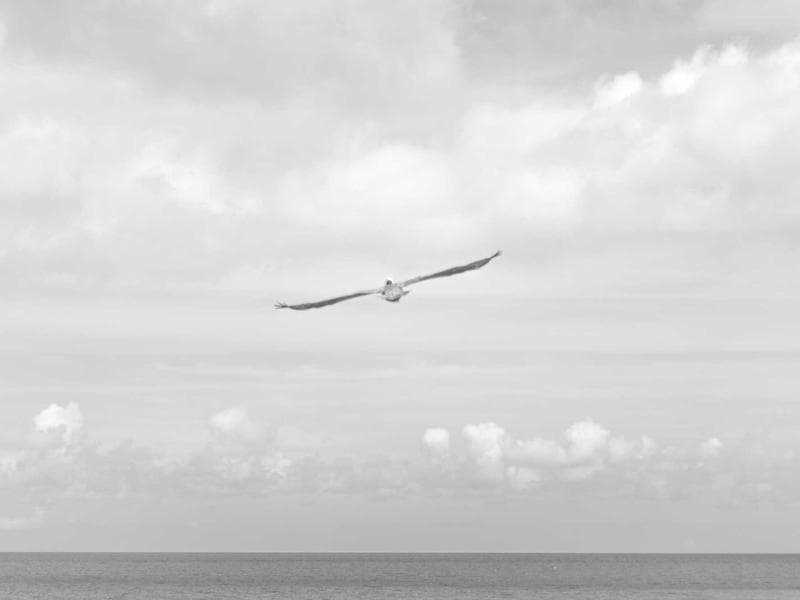 Kundu Palm Resort Apt. 1