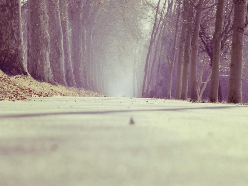 Kundu Palm Resort Apt. 6