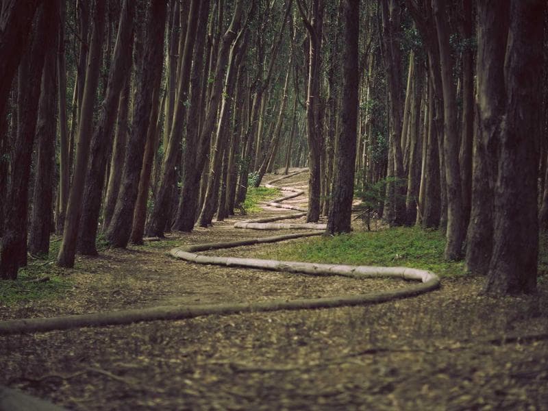 Lara Beach Club Apt. 1