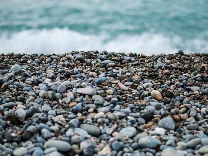 Old Market Suites Apt. 2