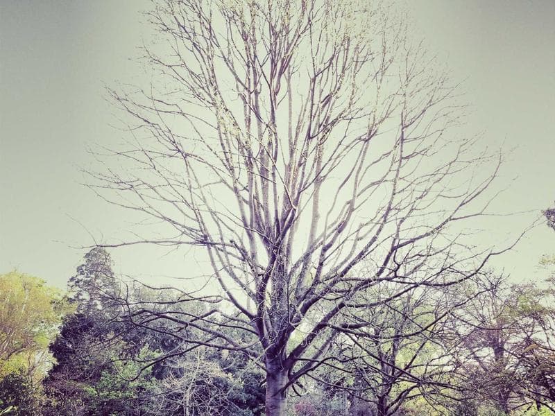 Türkbükü Hillside Apt. 3